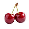 Reviewer image