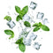 Reviewer image