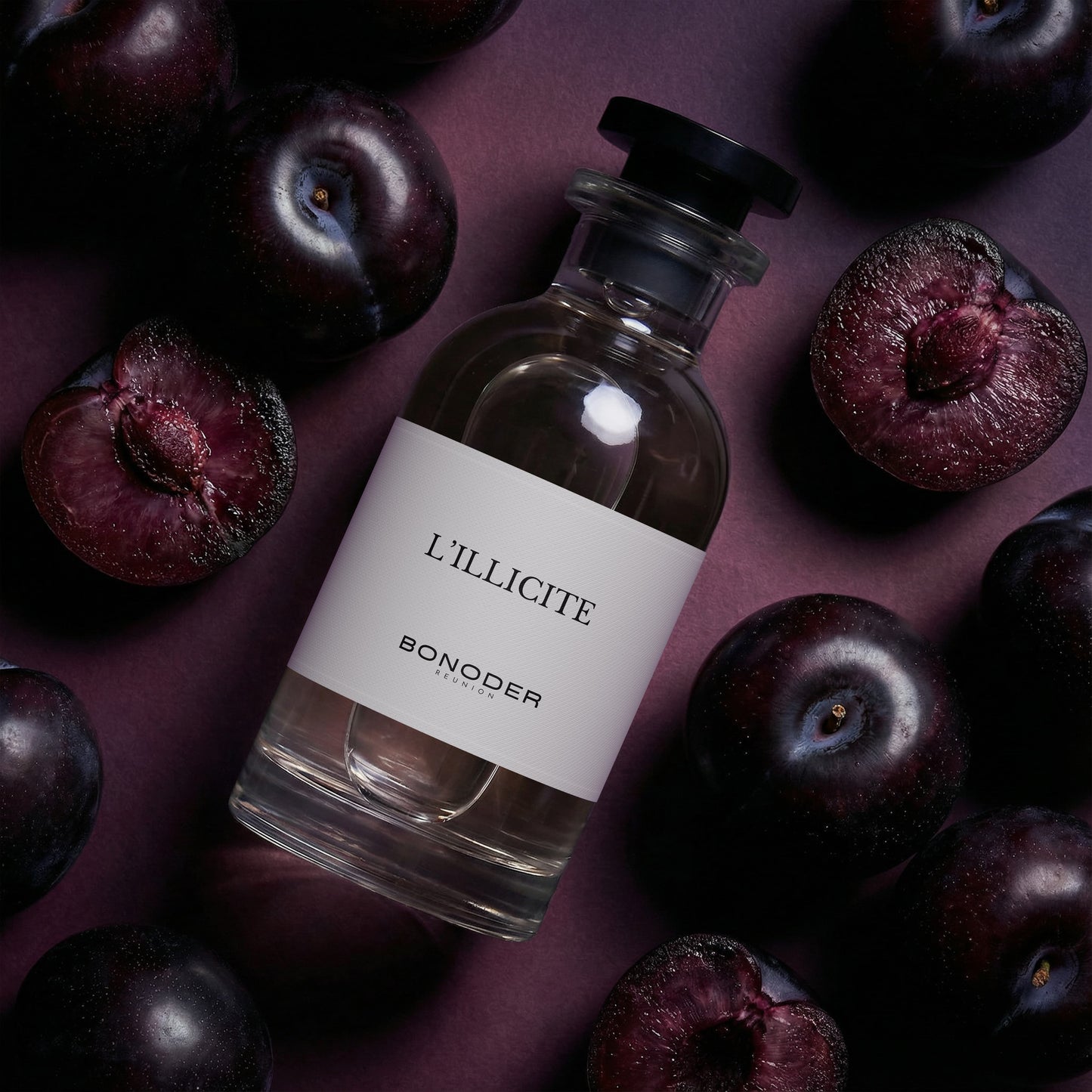 L'Illicite