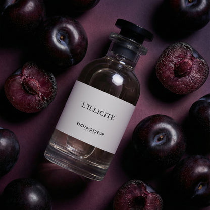 L'Illicite
