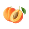 Reviewer image
