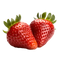 Reviewer image