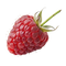 Reviewer image