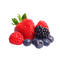Reviewer image