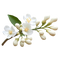 Reviewer image