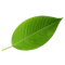 Reviewer image